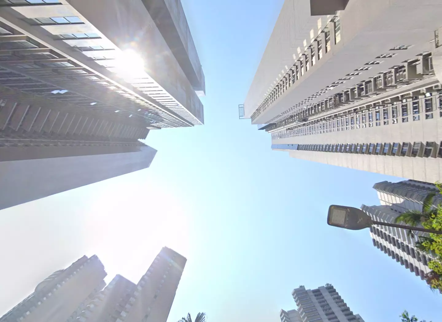 Lucidi fell to his death from the top floor of Tregunter Towers.