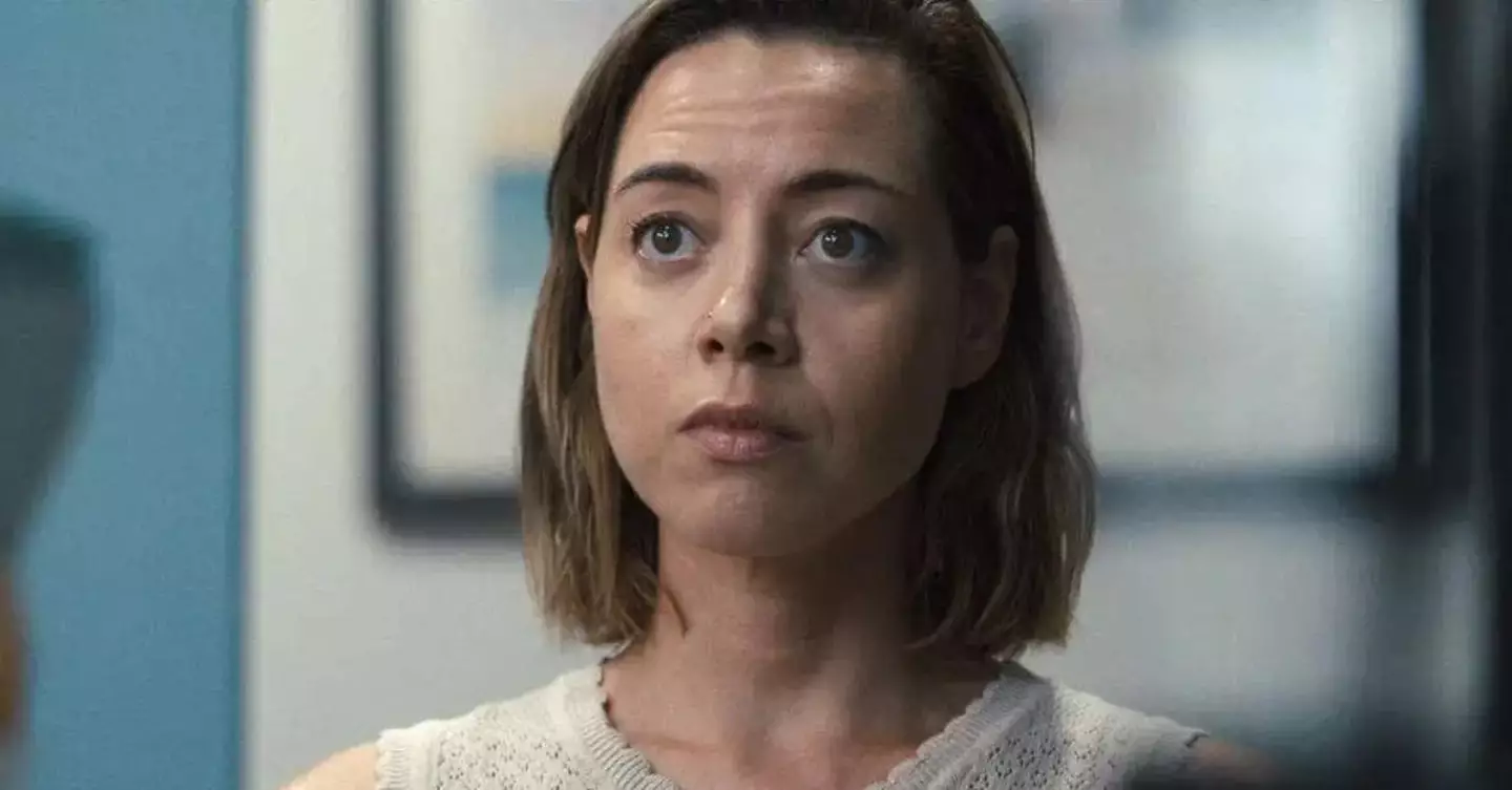 Aubrey Plaza knows how to commit credit card fraud.