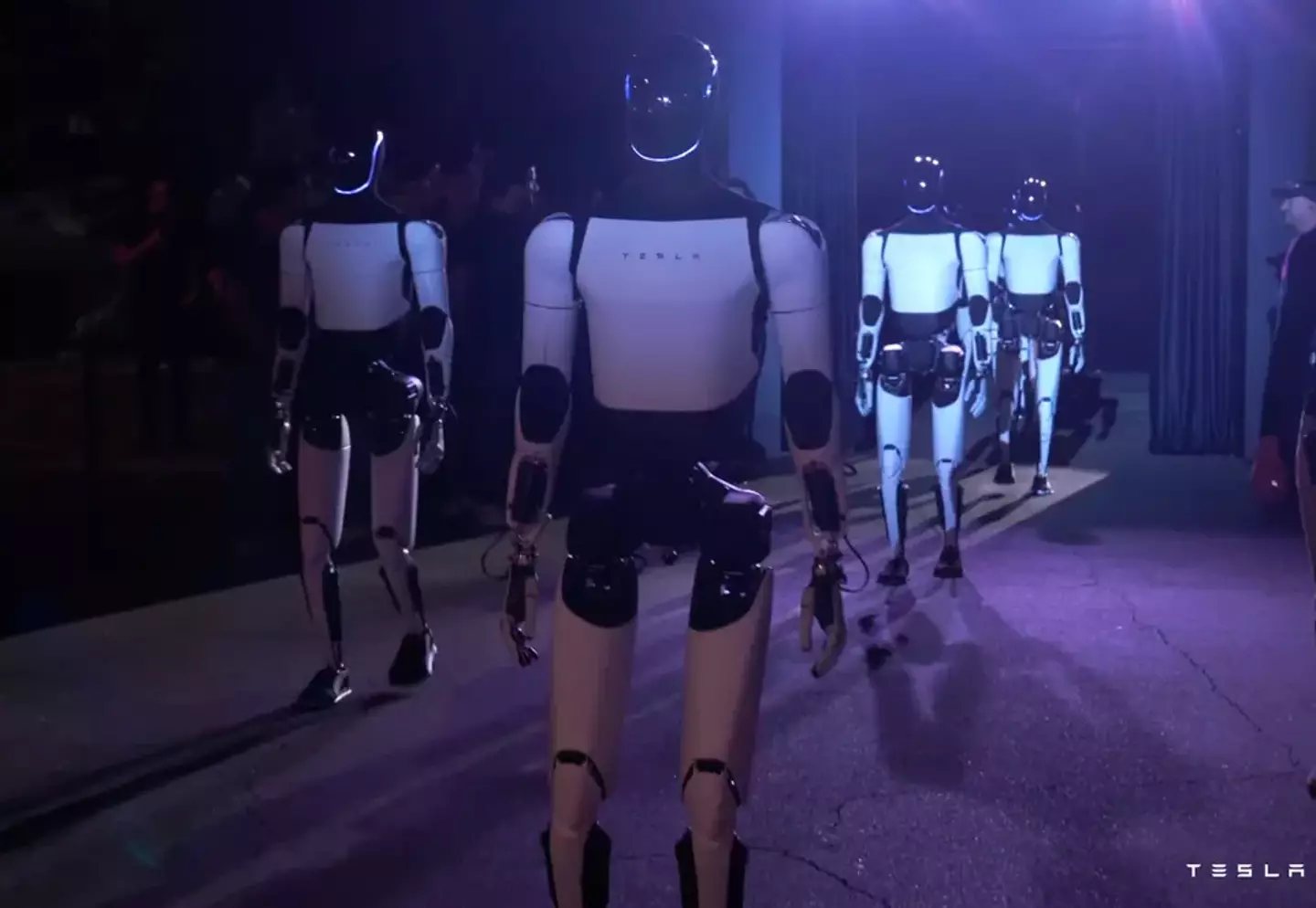 Tesla showed off its next generation of Optimus robots (Tesla)