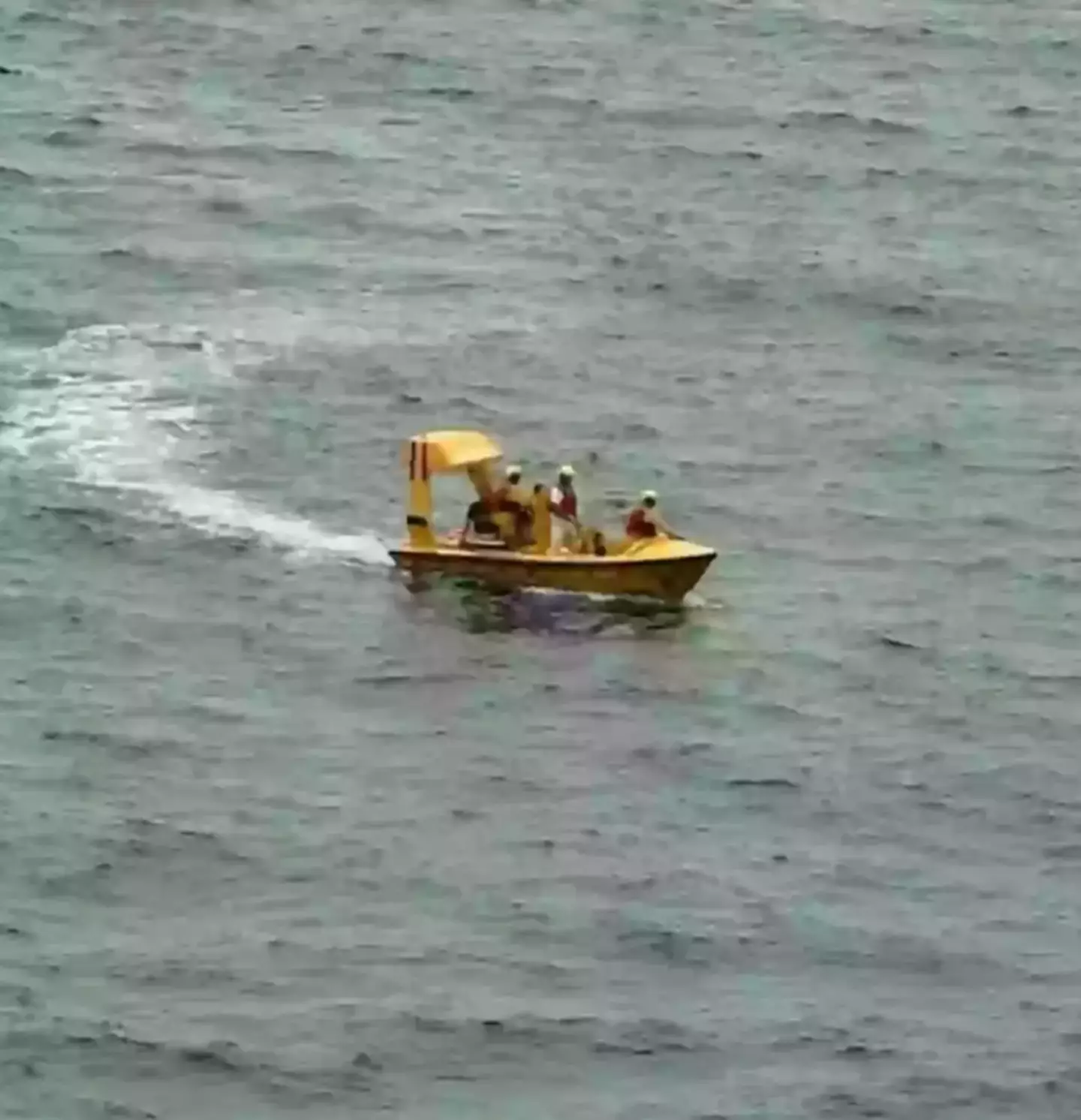 The father was hailed a 'hero' after diving in to save his daughter (Facebook/DeWayne Smith)