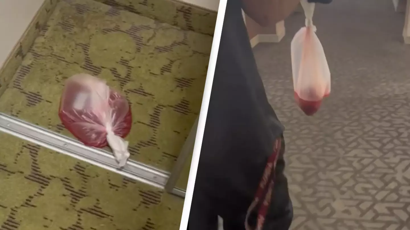 Hotel forced to make statement after guest finds 'bag of blood' in their room