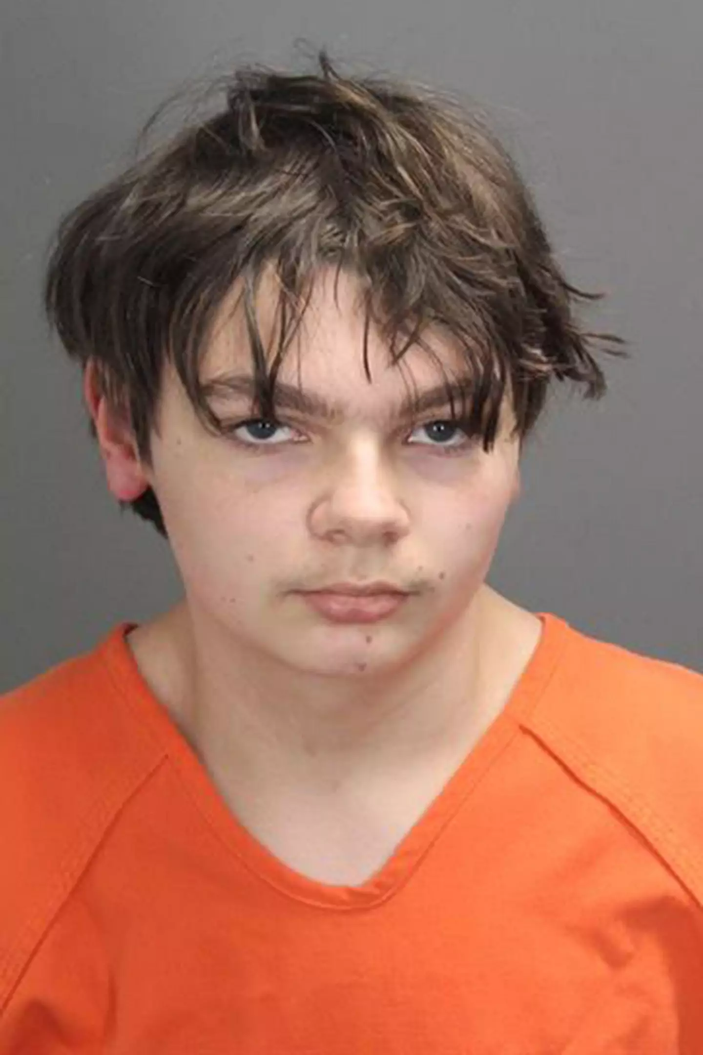 Ethan Crumbley who was 15 at the time has been charged with killing four students at his Michigan high school on 30 November 2021.
