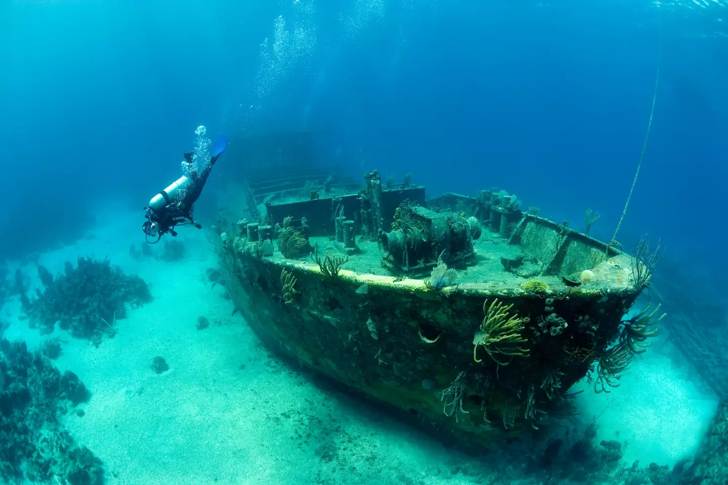 Shipwrecks can look very different to what we might imagine.