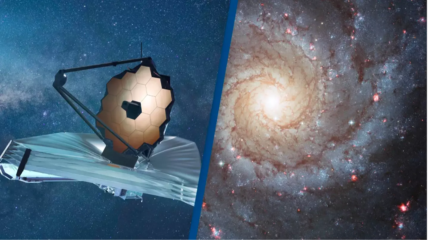 dotted zebra / Dennis Hallinan / Alamy Stock Photo