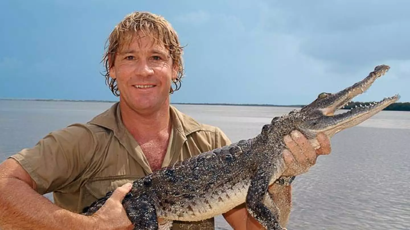 The dad learned his skills from Steve Irwin.