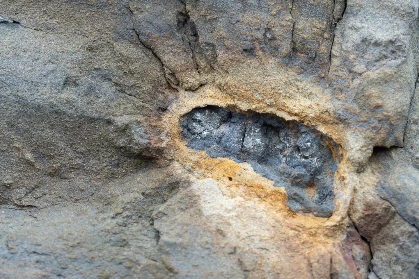 The fool's gold may be more valuable than previously thought. (Marli Miller/UCG/Universal Images Group via Getty Images)