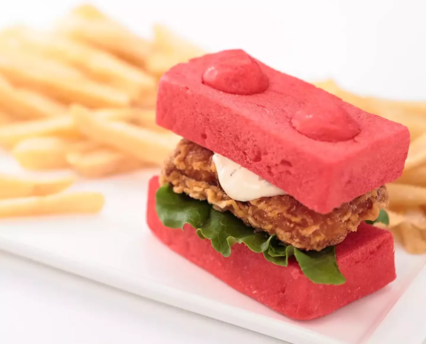 Legoland Japan offers a whole range of food.