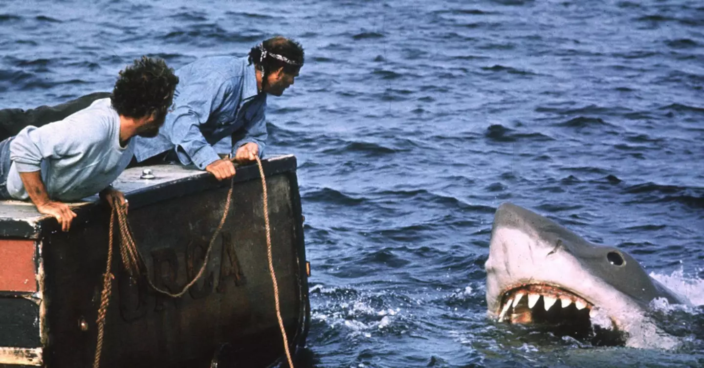 Jaws created a new fear of sharks.