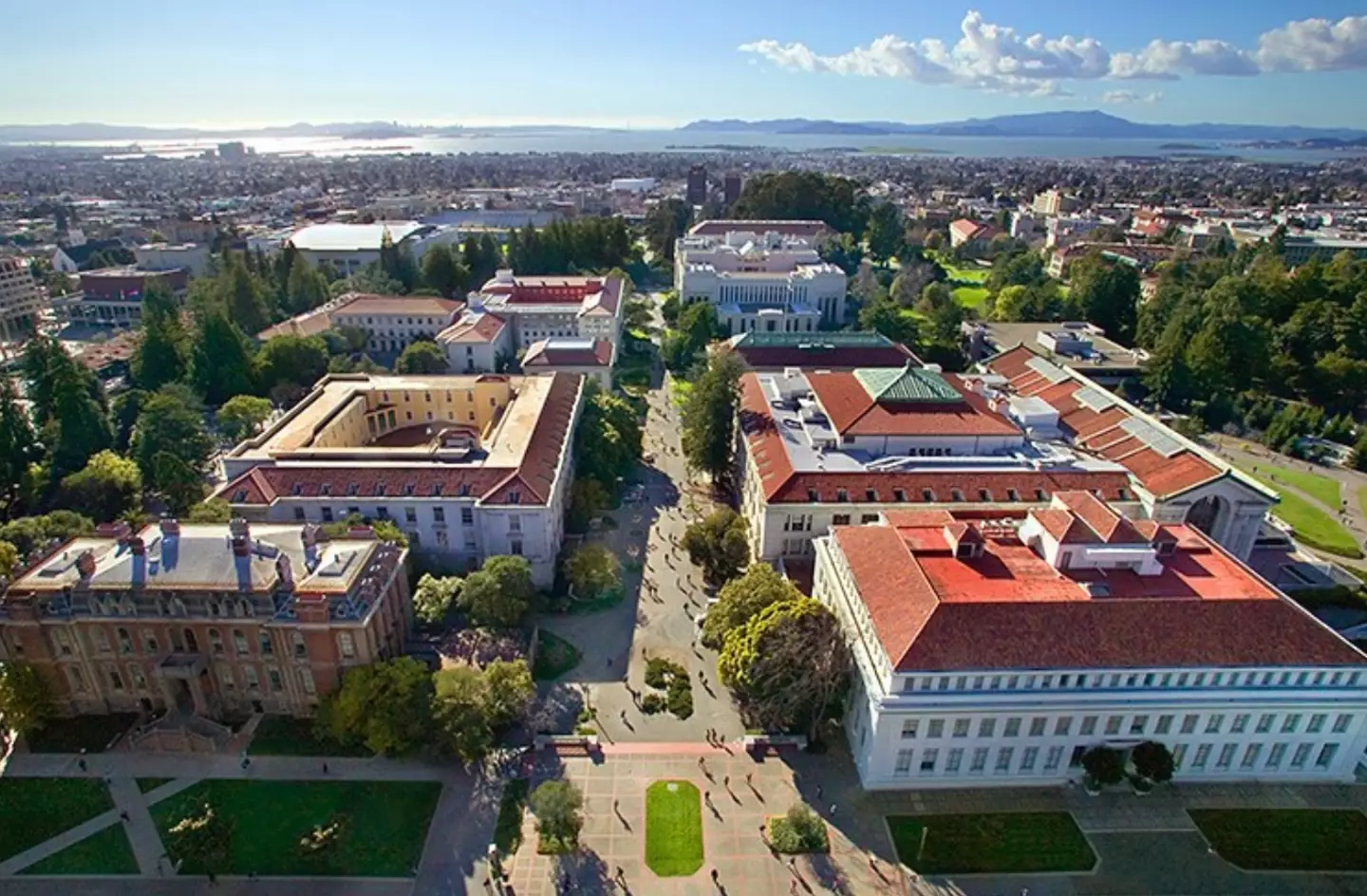 Bill Zhou has spent the last year studying at UC Berkeley.