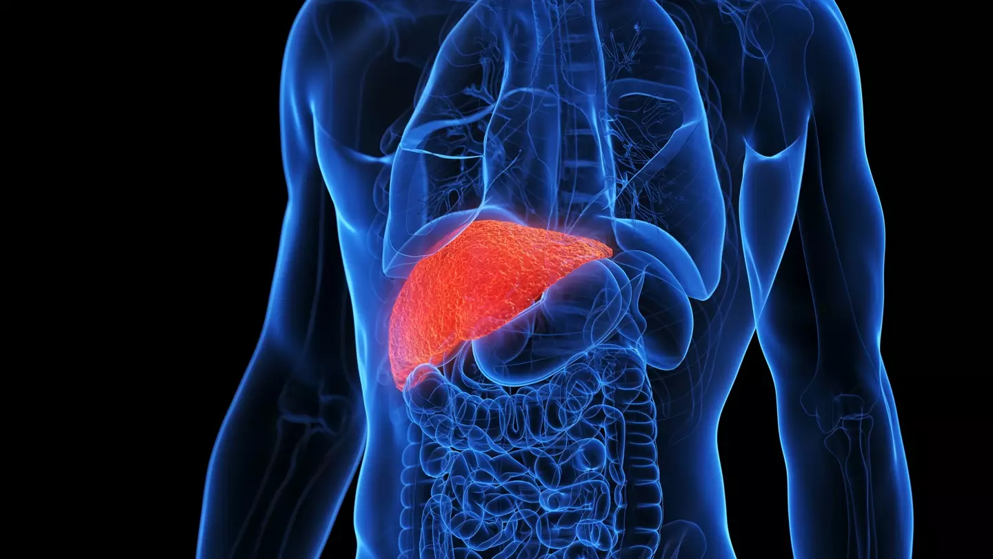 NAFLD occurs in those whose liver contains over five per cent fat (Getty Stock Photo)