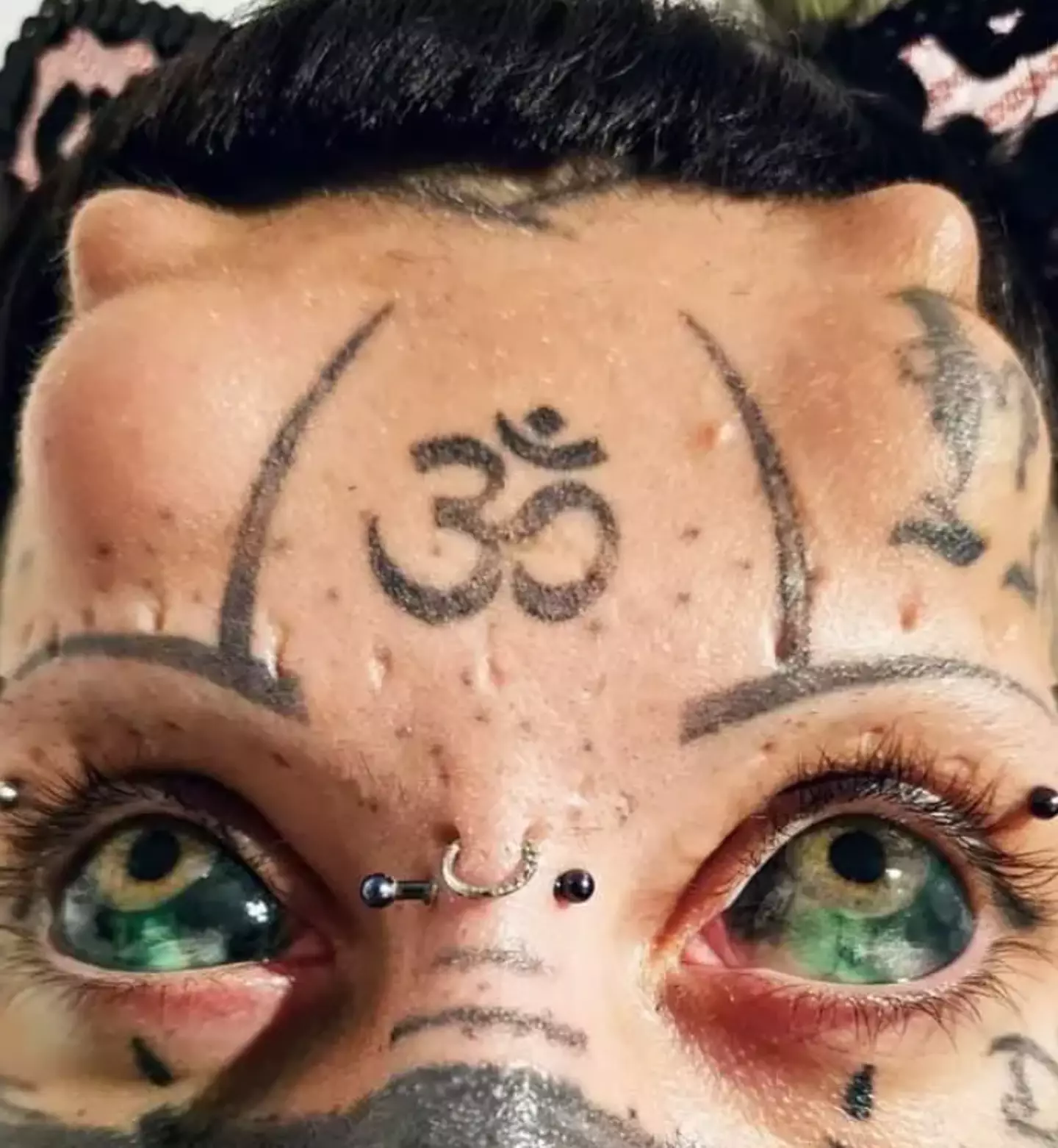 Dell'Abate has no plans to stop there either.