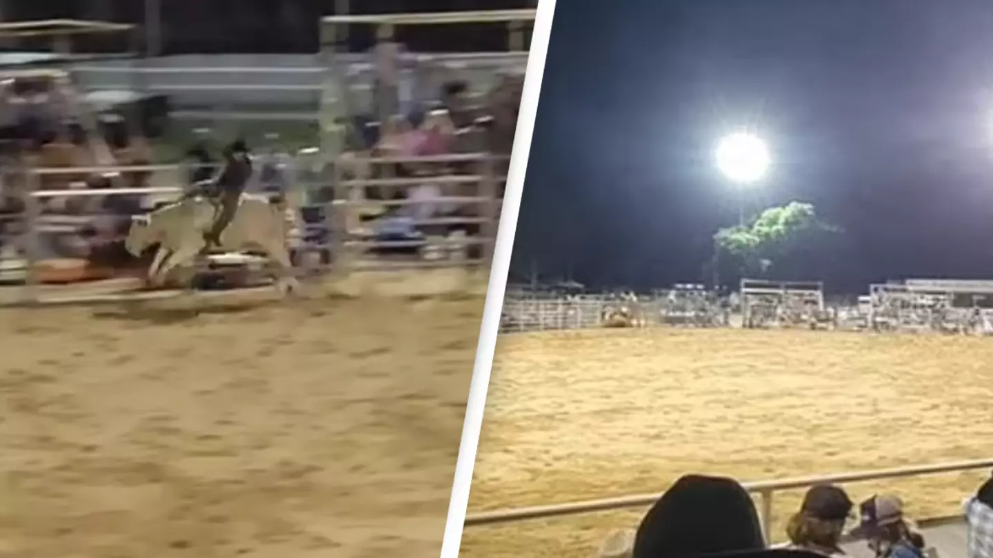 Cowboy killed by bull in New Year's Eve rodeo tragedy