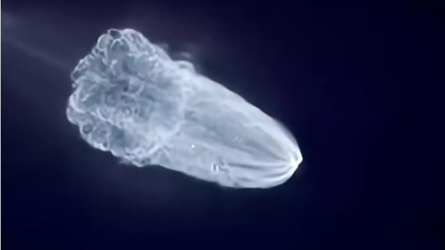 Truth behind ‘space jellyfish’ phenomenon as China takes giant leap forward in space race