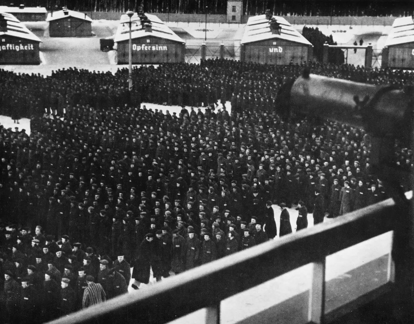 Prisoners were put to death by gas chamber and firing squad.