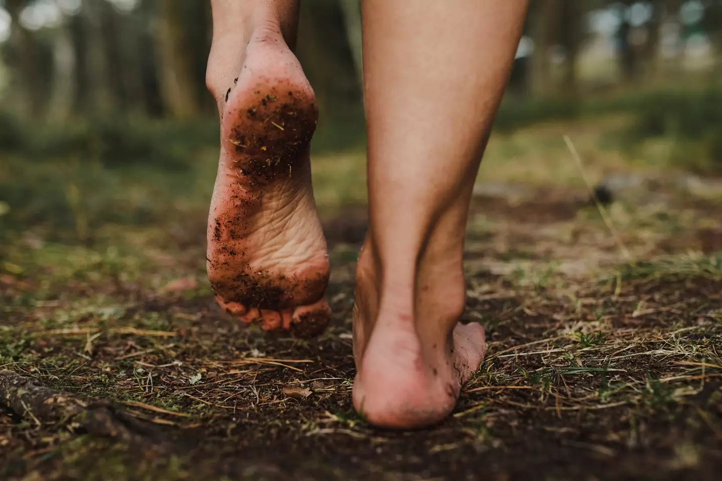 Be careful where you tread (Getty Images)
