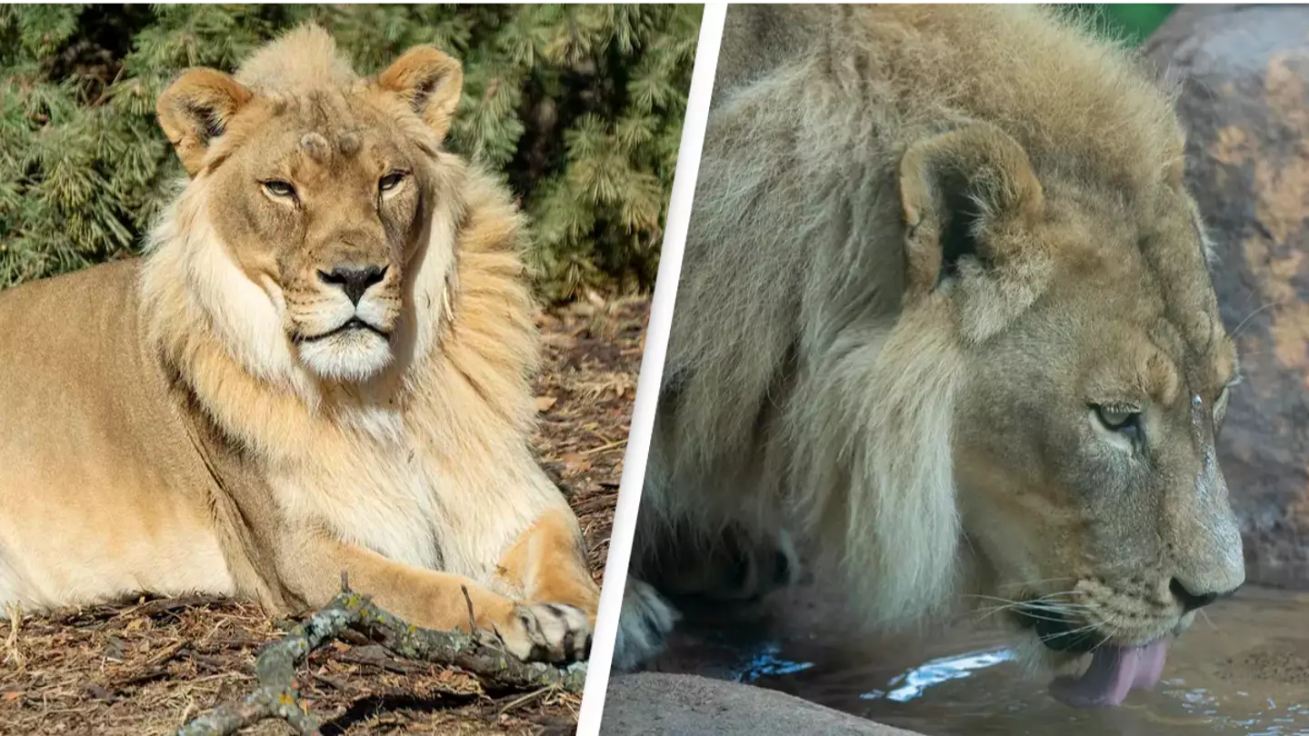 Topeka Zoo and Conservation Center