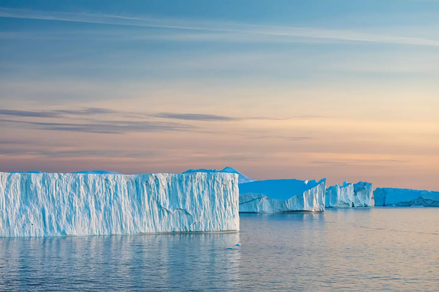 The Greenland shark roams in the Arctic ocean (Getty Stock Photo)