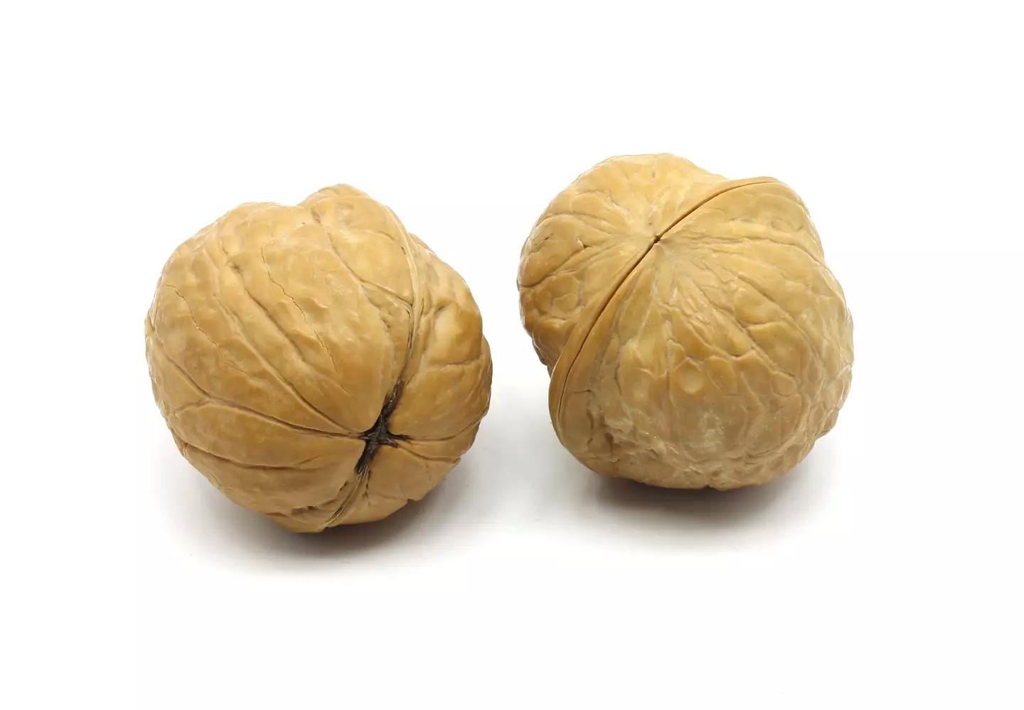 There's actually a simple reason for that mark on the scrotum. (lvcandy / Getty)