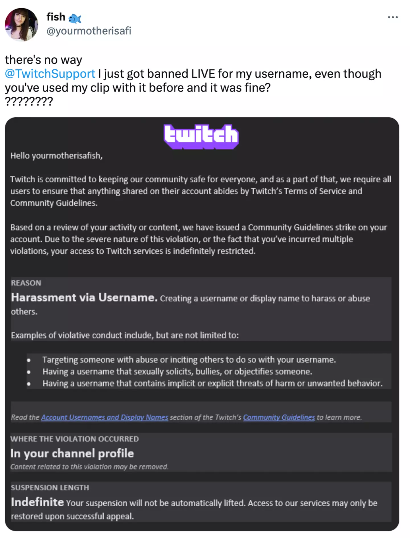 The streamer took to Twitter after she was banned from Twitch.