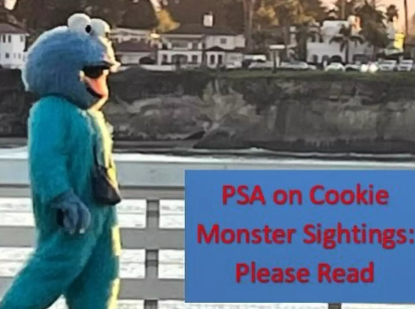 People have been warned to stay away from the Adam Sandler Cookie Monster.