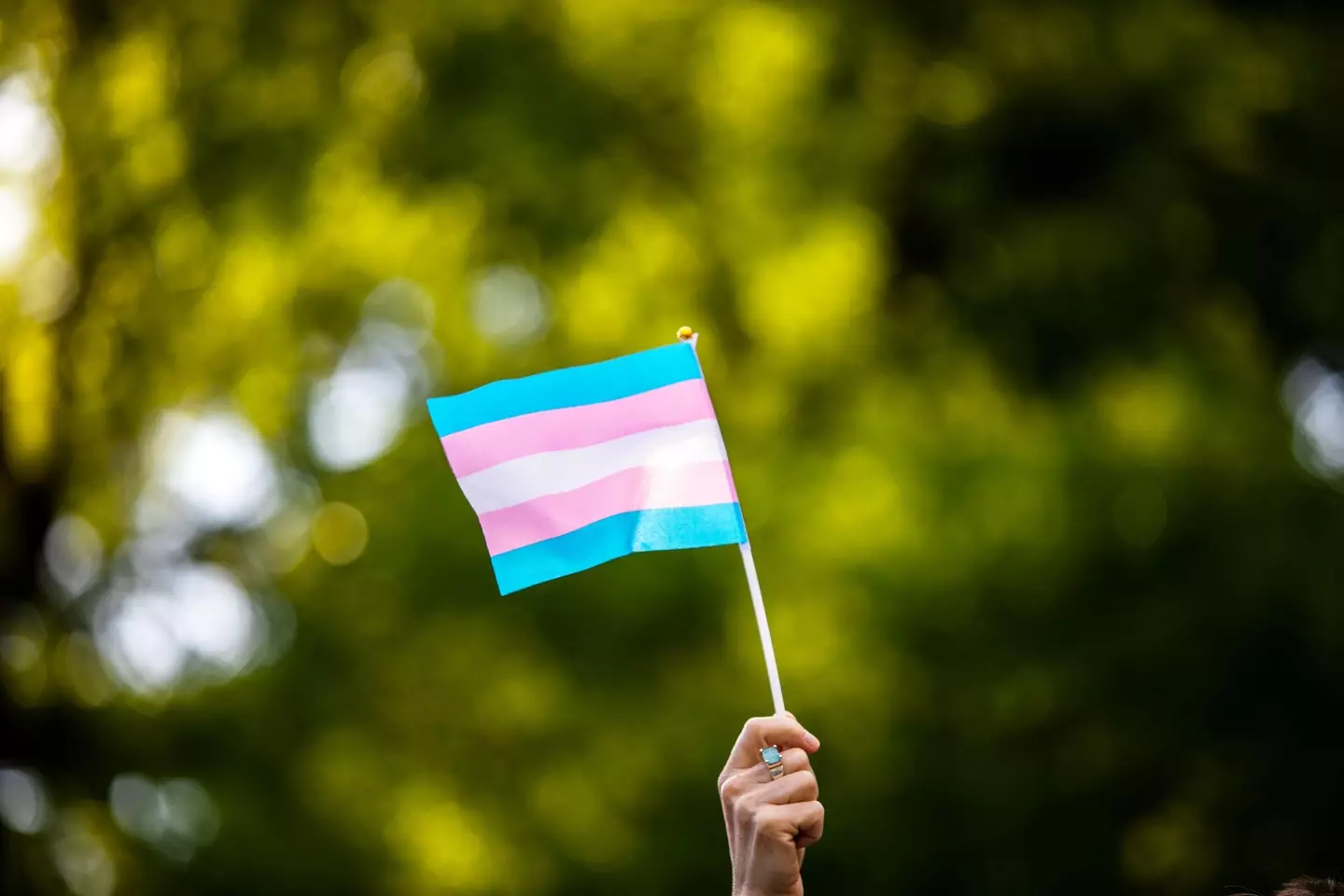 The church said it supports trans people 'of all ages'. Credit Alamy / REUTERS