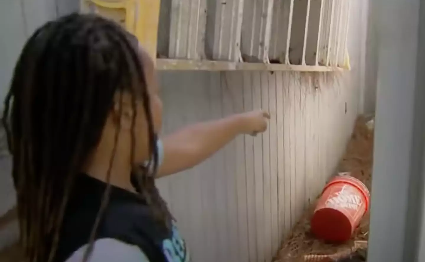 Angelo found the snake in his grandma's back yard.