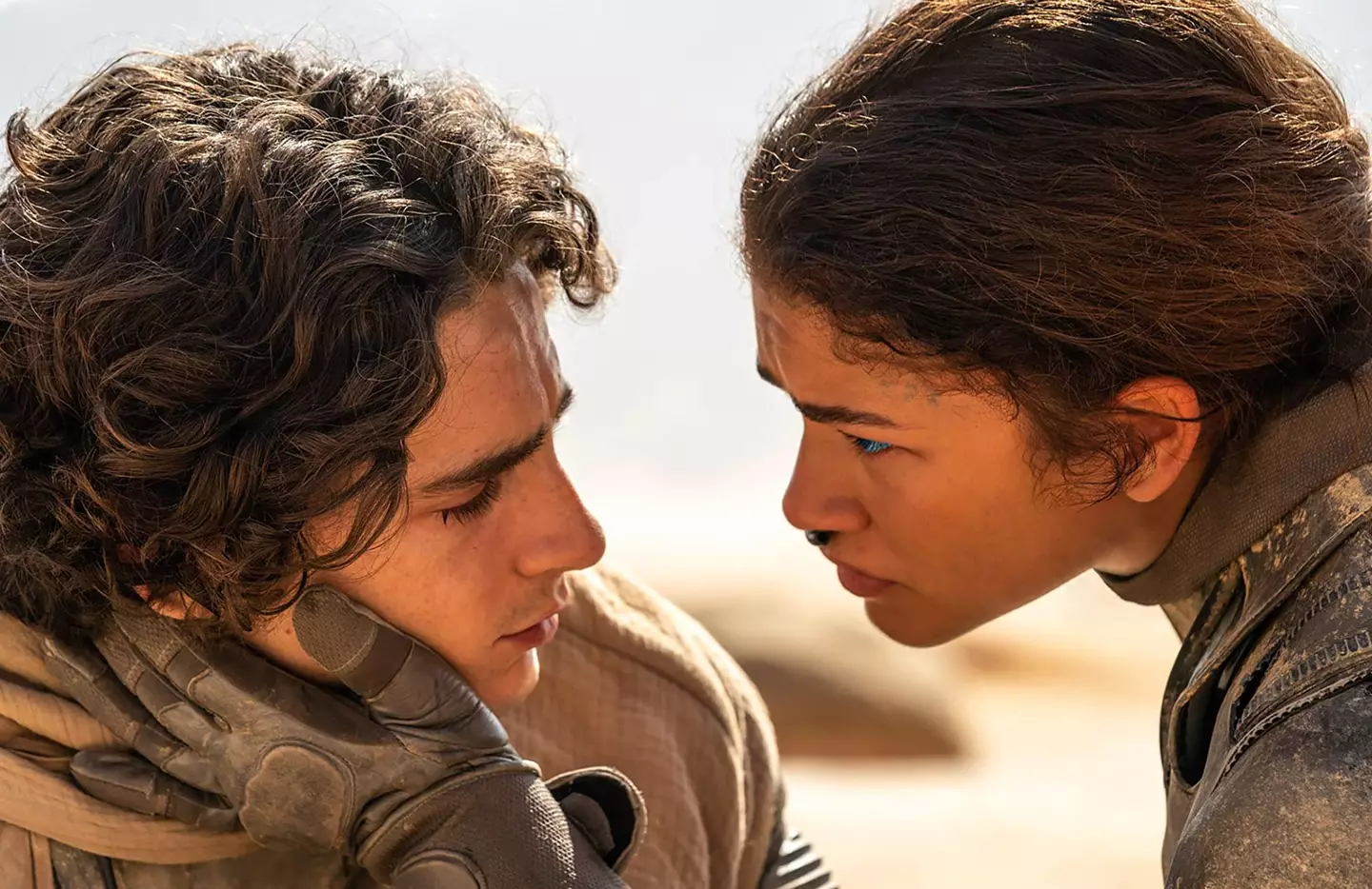 Timothée Chalamet and Zendaya will return to their starring roles.