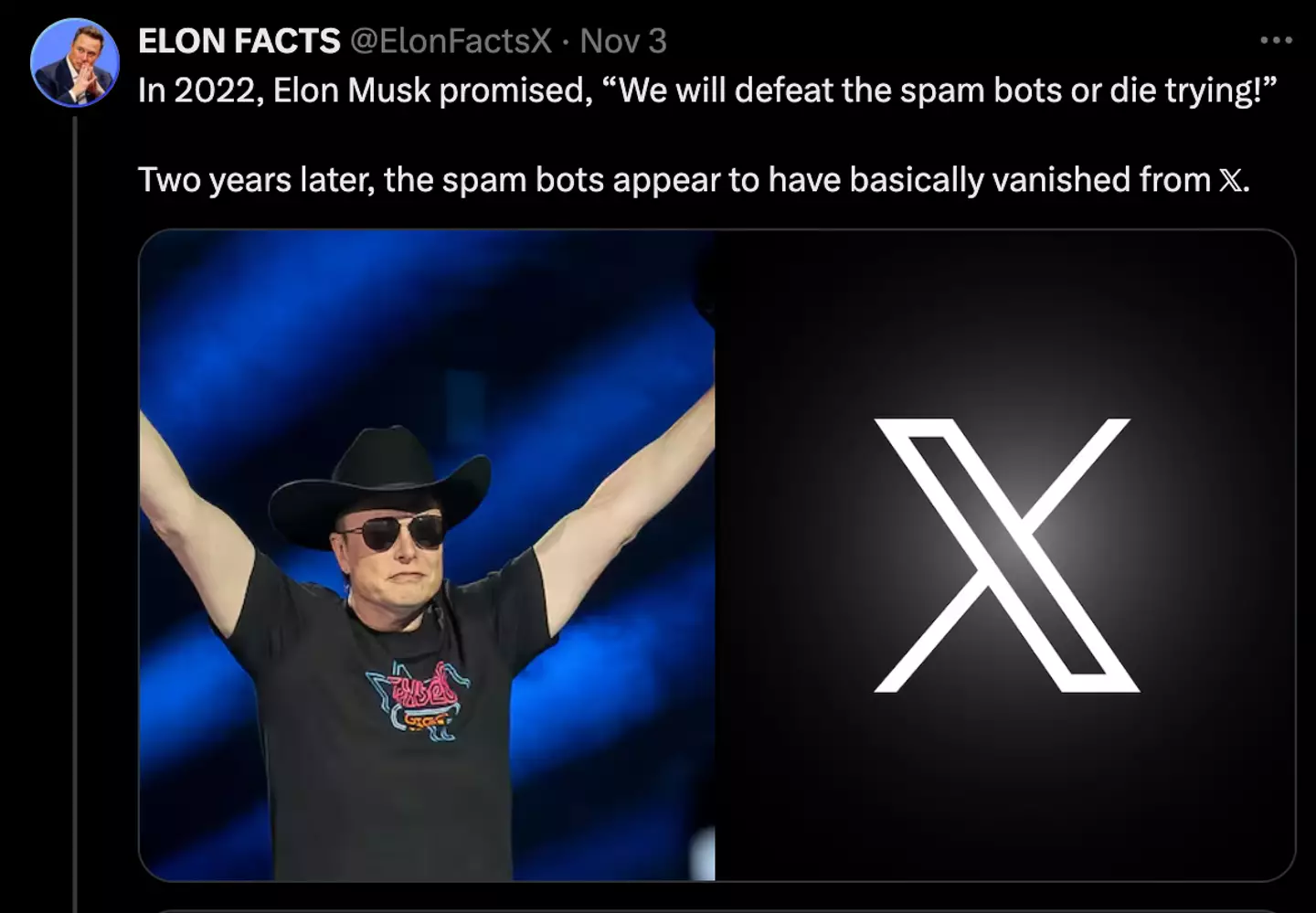 An Elon Musk fan account claimed the spam bots have 'basically vanished' (Twitter/@ElonFactsX)