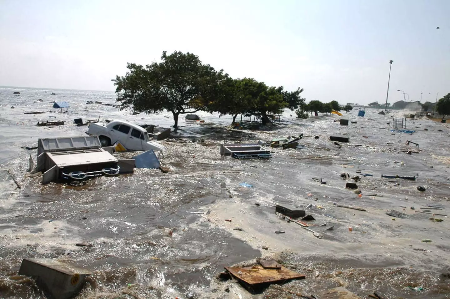 An estimated 227,898 people in 14 countries died as a result of the devastating natural disaster.