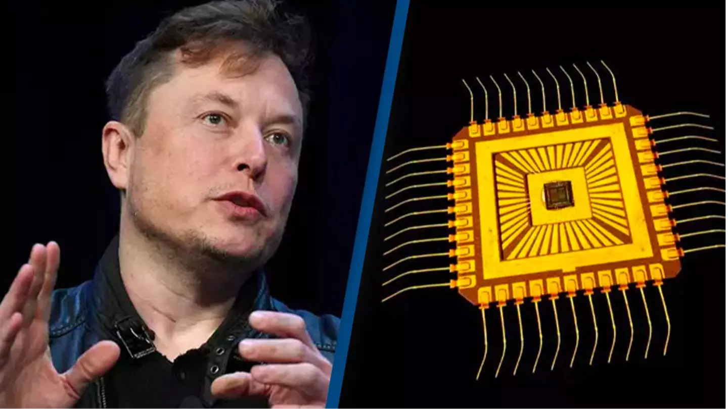 Elon Musk among experts calling for pause on AI due to ‘profound risks’