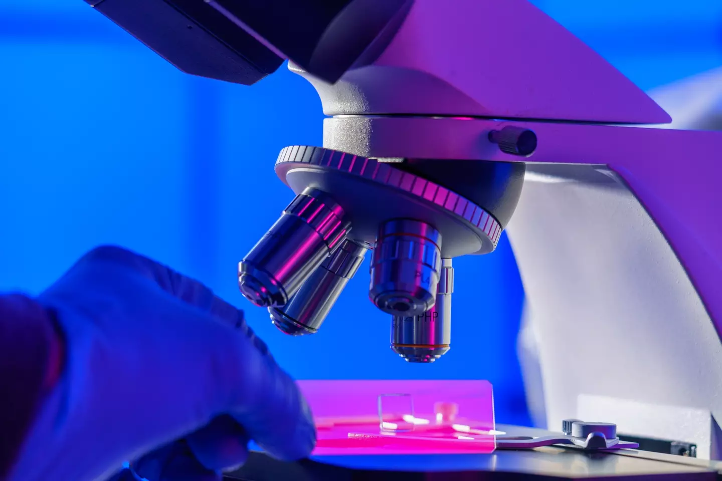 Biobots are an indication of a 'third state' (Getty Stock Photo)
