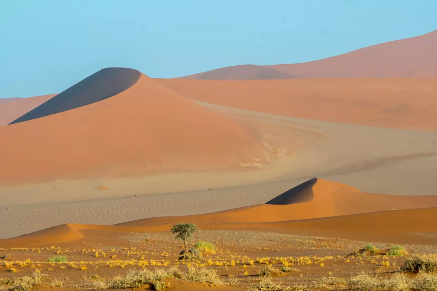 The Big Daddy dune in the Namib desert. (Wolfgang Kaehler/LightRocket via Getty Images)