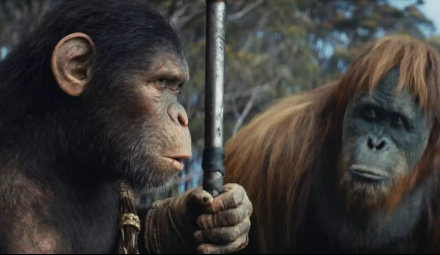 Ball assured there are big plans for its sequels.(20th Century Studios)