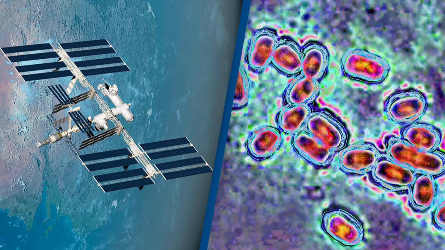 Bacteria has mutated on the International Space Station into something never seen before on Earth