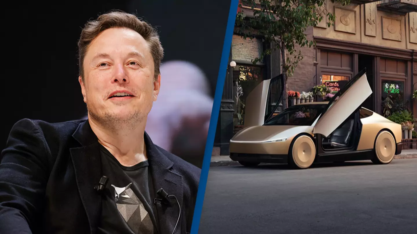 Elon Musk unveils self-driving robotaxi for surprisingly low price