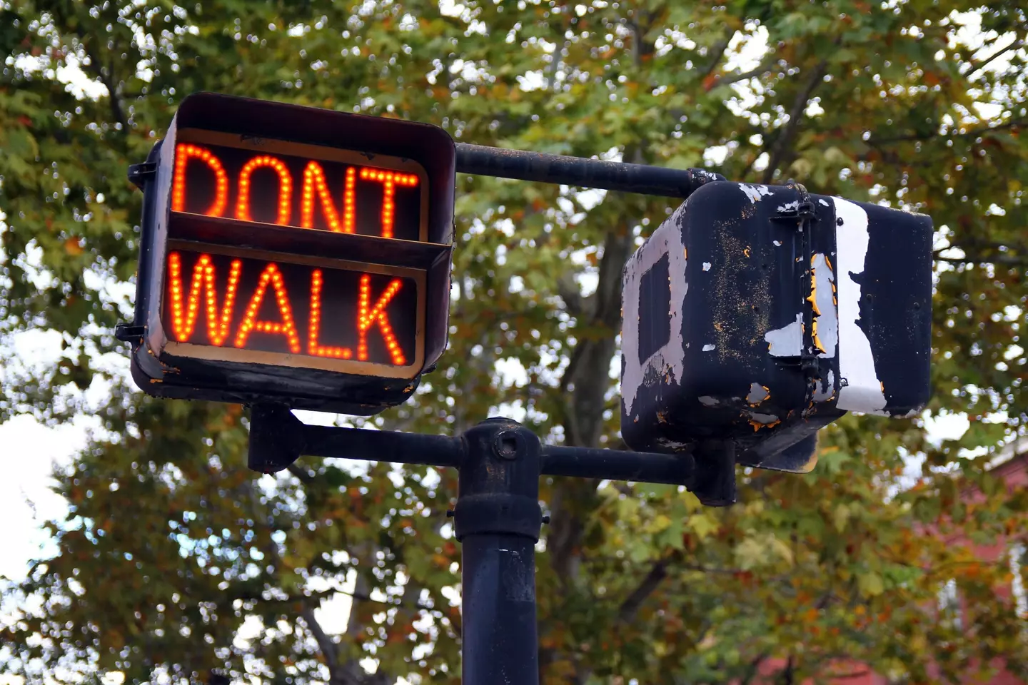 'Don't Walk' sign in America. (Alamy) 