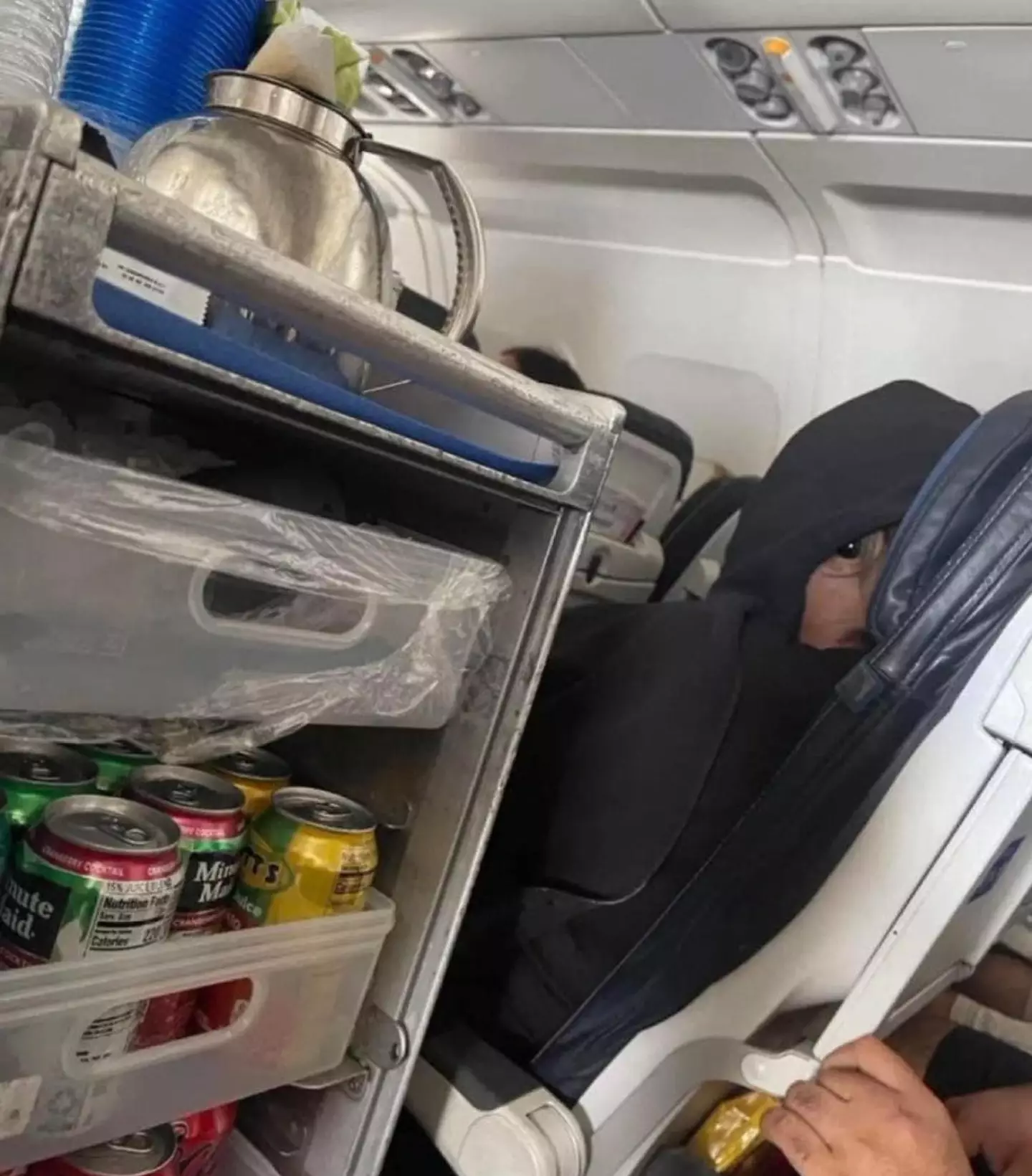 People are puzzled after a person posted a picture of what appears to be an 'alien' riding economy on a plane (X/@bluemupp)
