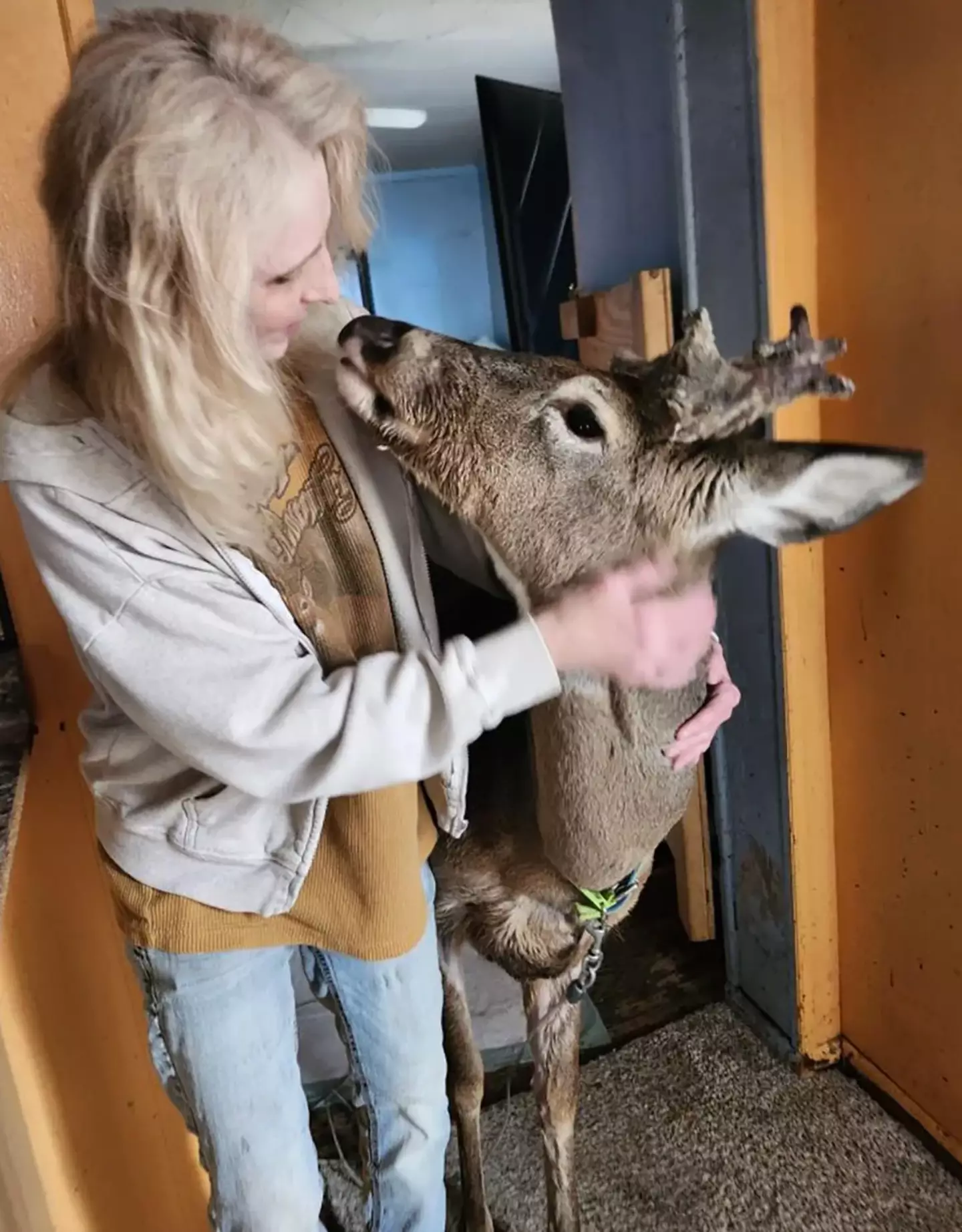 Proger's family said Wheezer was not involved in the attack (Jodi Proger/Facebook)