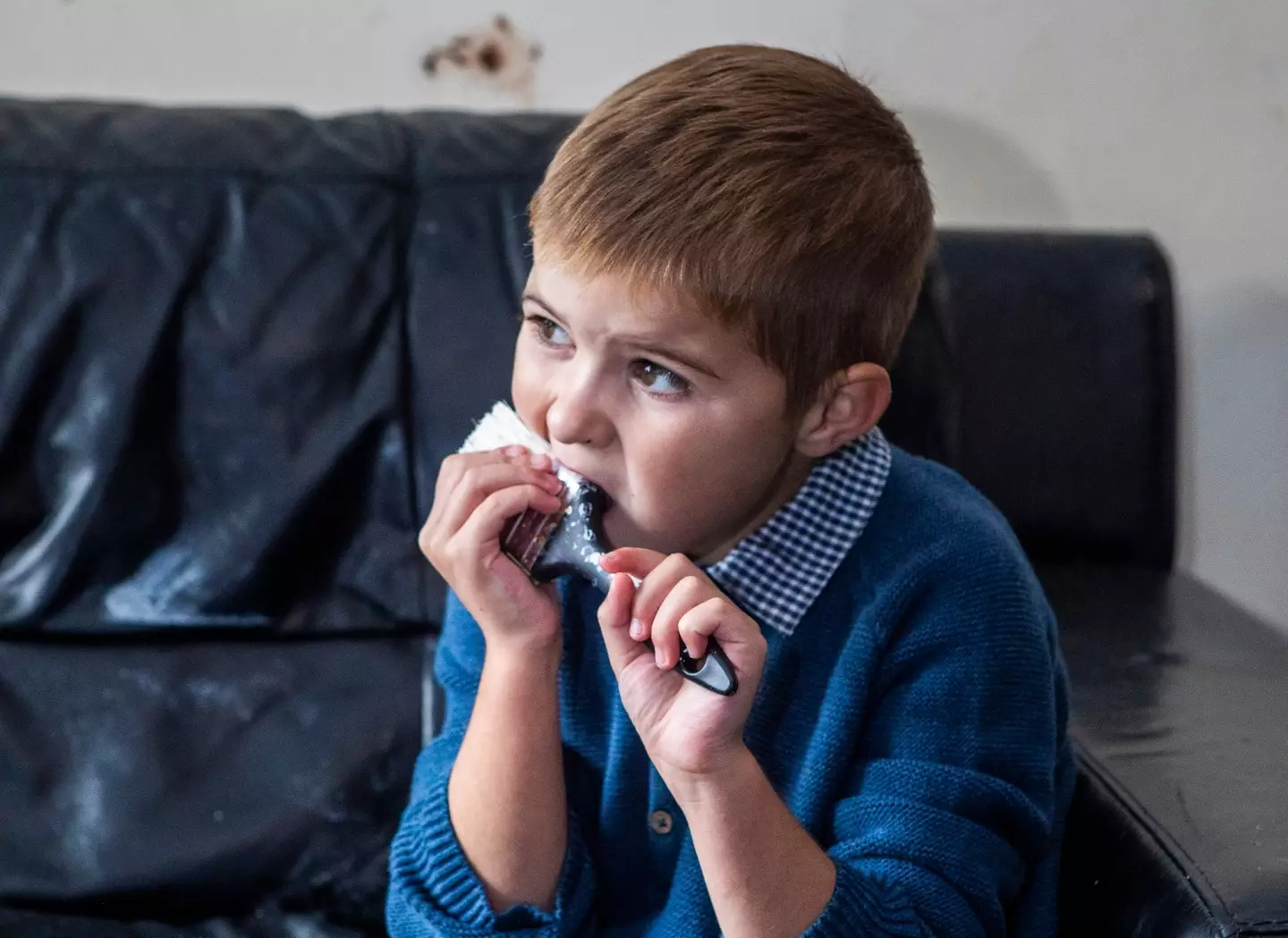 Leigh shared how there is nothing Steven wouldn't eat (SWNS)