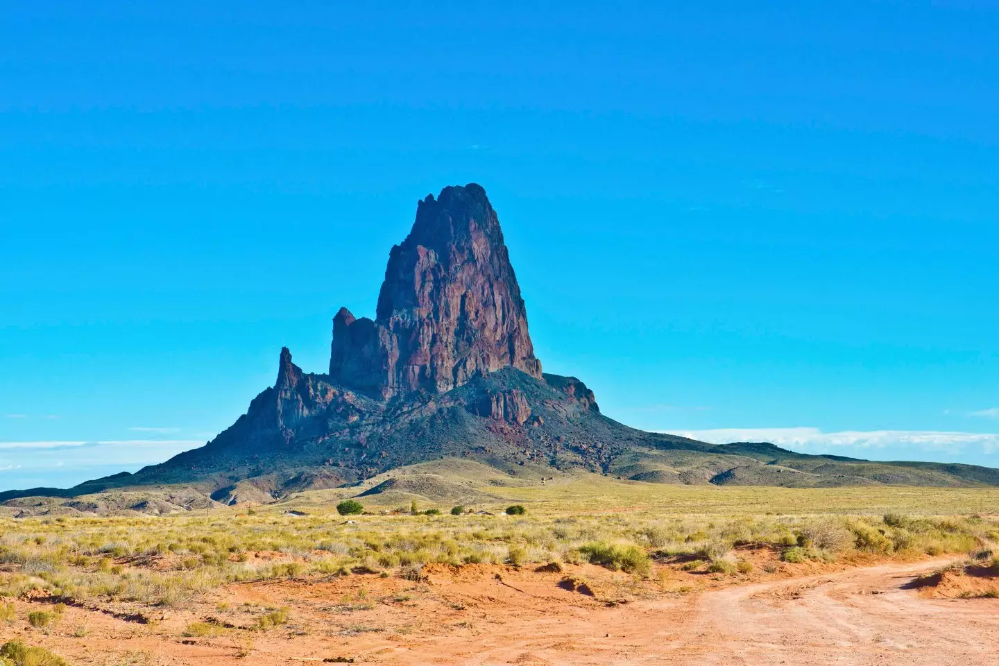 Davis had been parachuting off El Capitain.