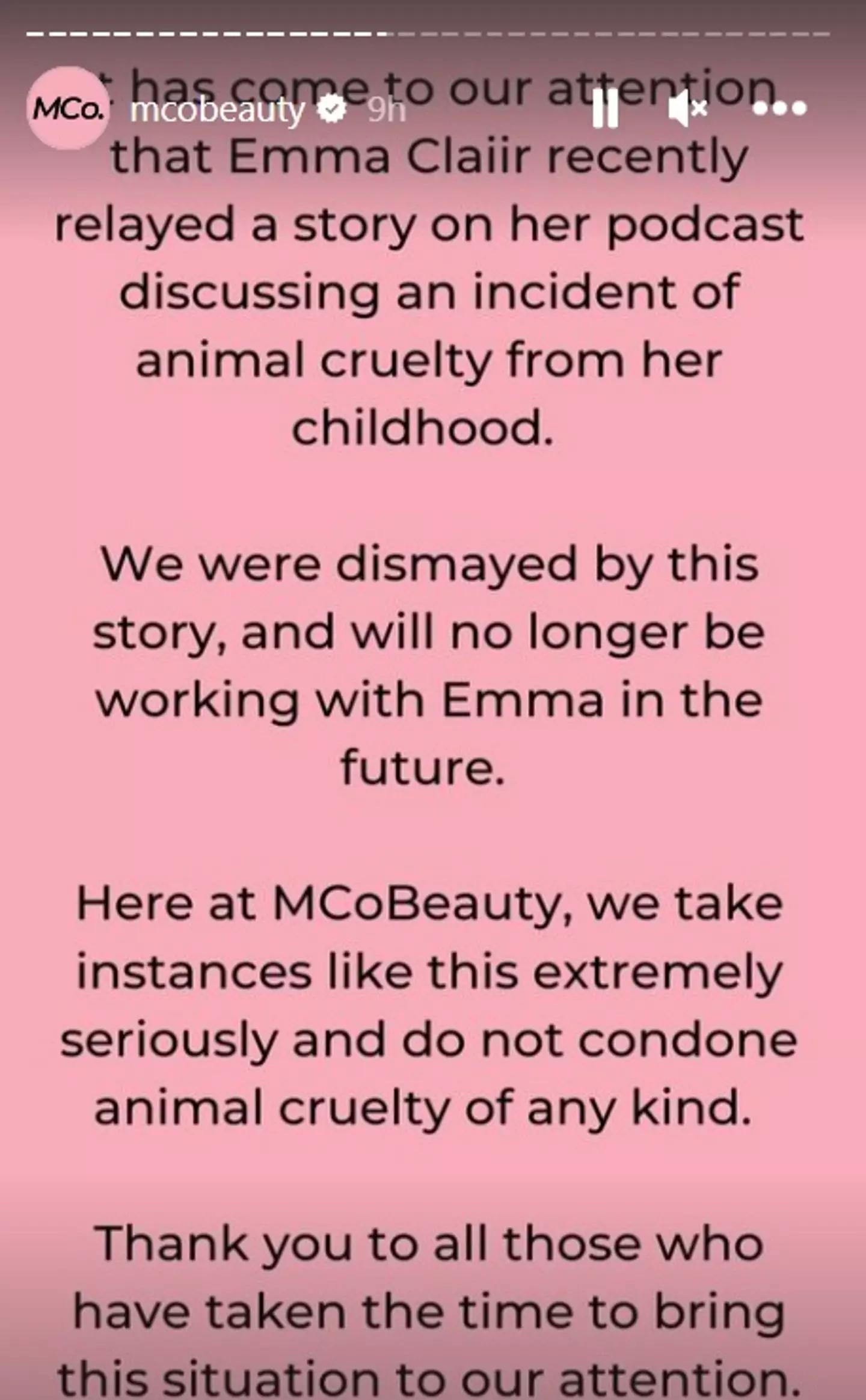 One of the brands the influencer had partnered with then said they wouldn't be working with her again.