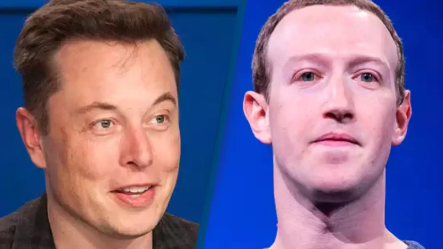 Elon Musk to start training for cage match against Mark Zuckerberg if $1 billion fight is agreed
