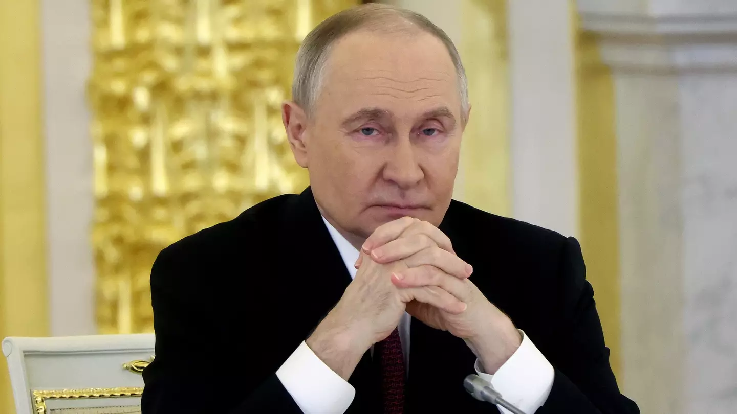 Contributor/Getty Images