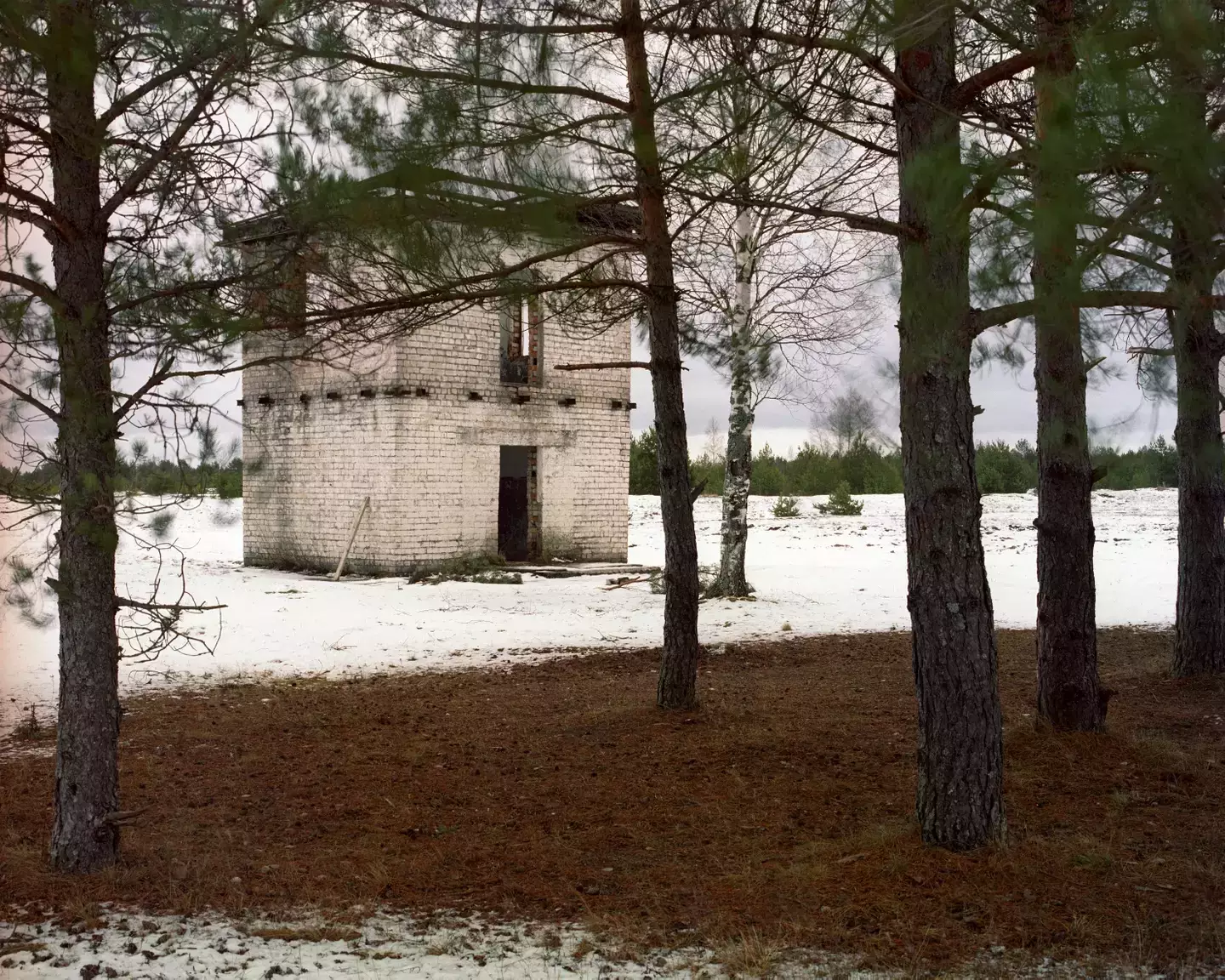 Can you spot the sniper in this picture? (Simon Menner)