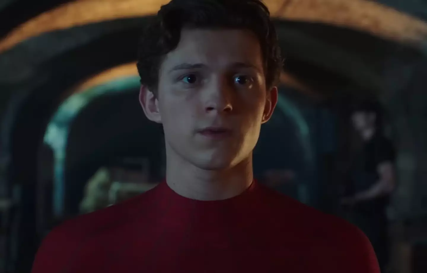 Tom Holland has praised Into The Spider Verse as the best Spider-Man film.