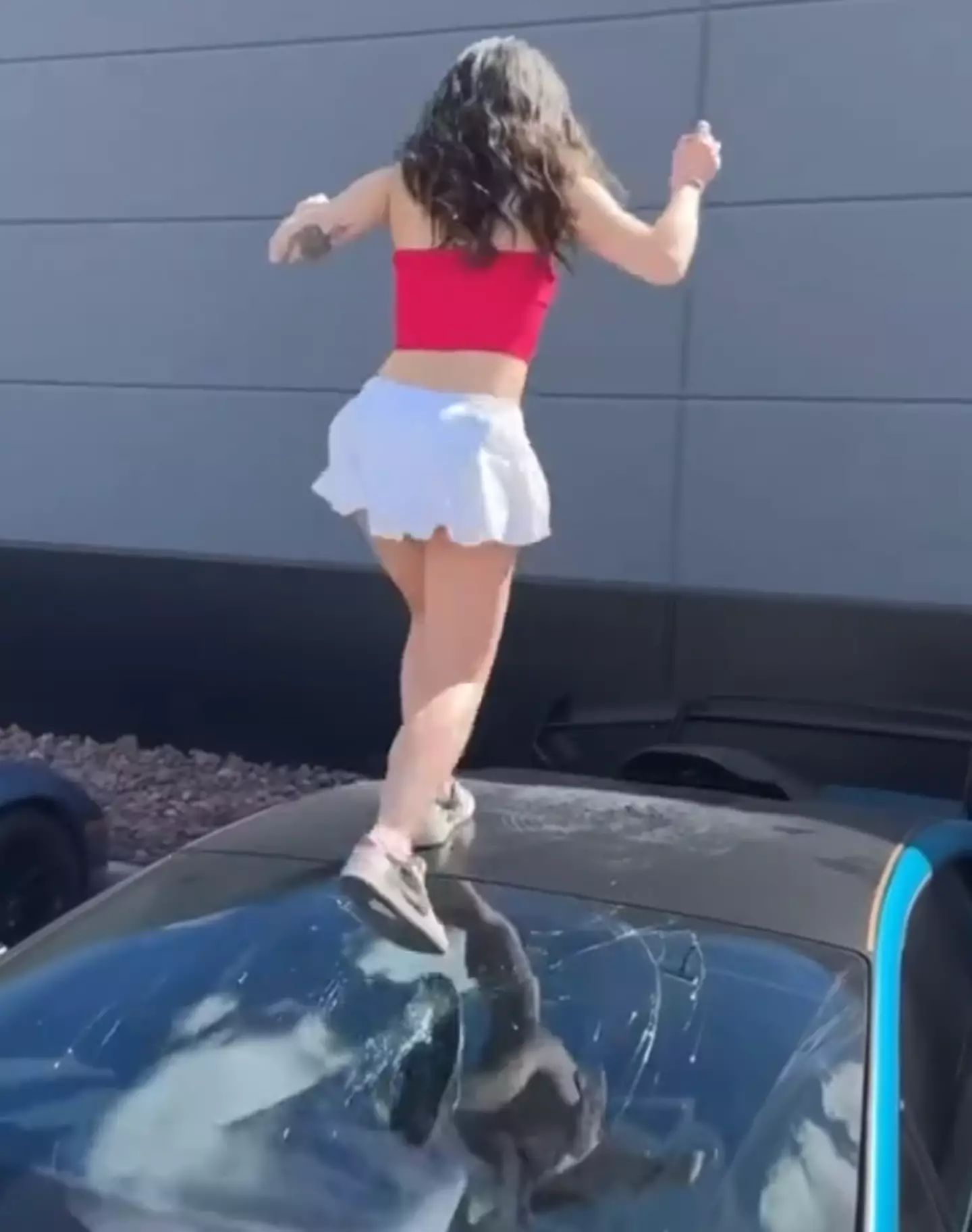 The windscreen was left with a huge crack. (TikTok/@snowbunnyjelly)