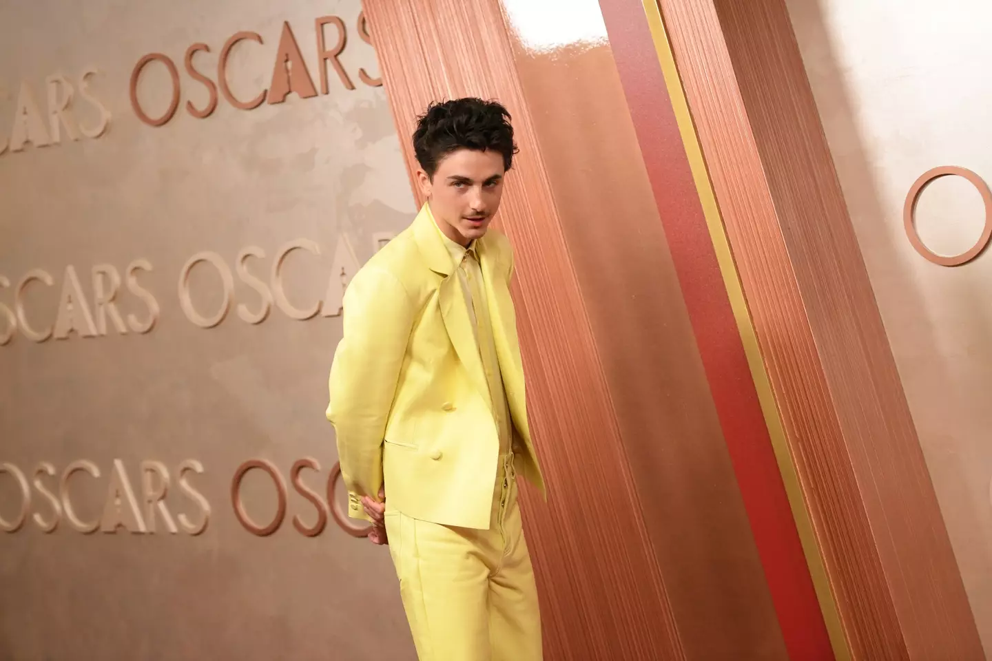 Chalamet's Oscars outfit has left people divided (Getty Images/ Chelsea Guglielmino/FilmMagic)