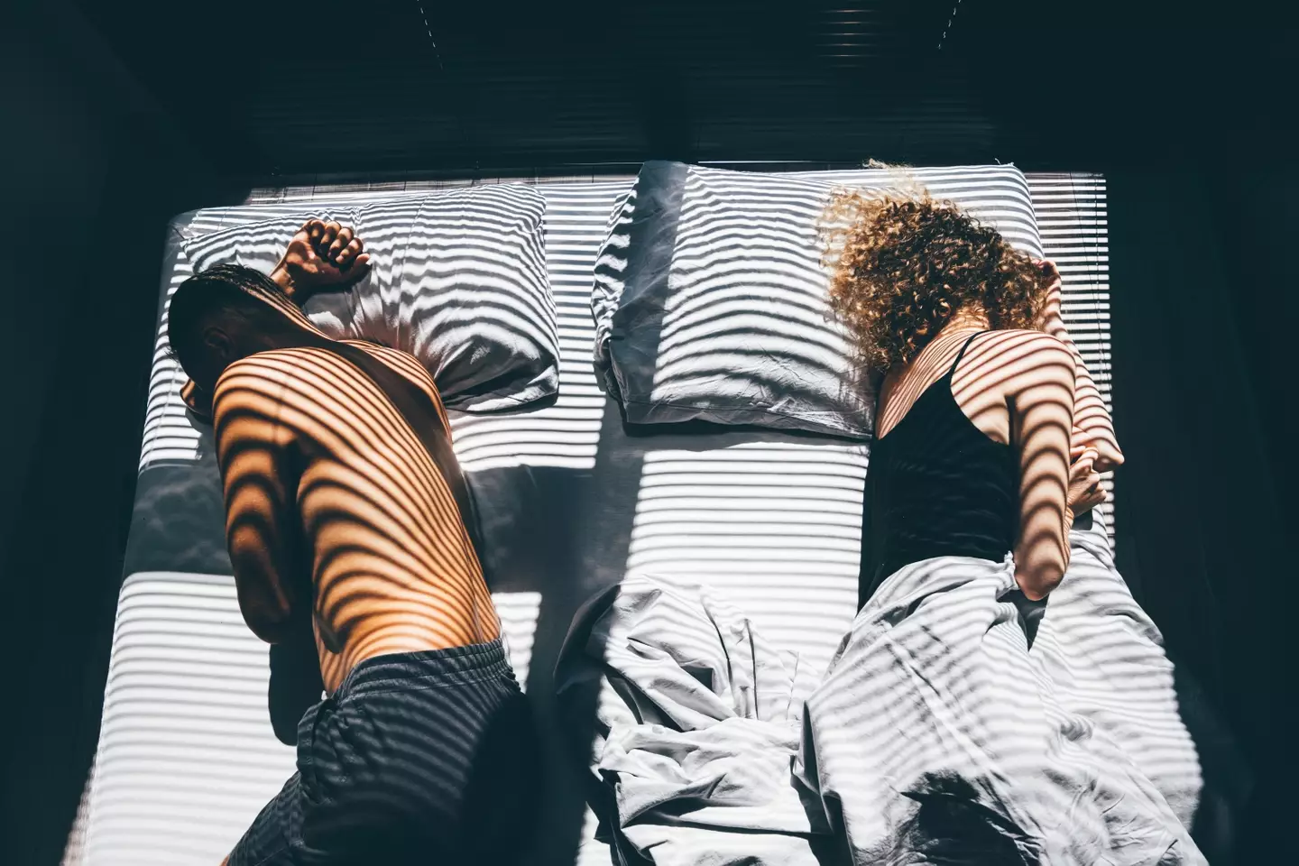 The lawyer recommends scheduling physical intimacy (