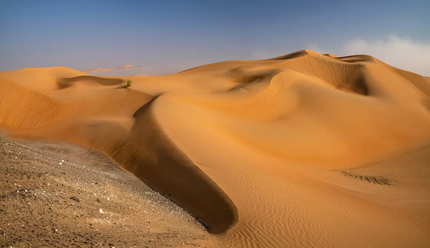 Part of the desert is set to be excavated (Achim Thomae/Getty Images)