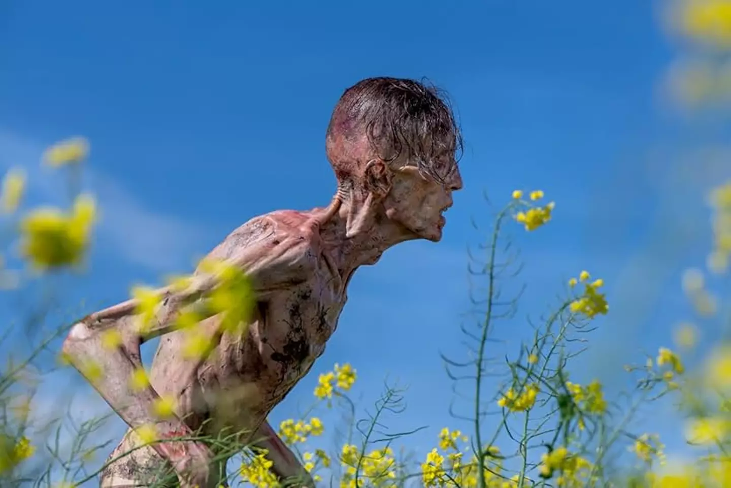 The highly-anticipated sequel has finally hit theaters (Sony Pictures)